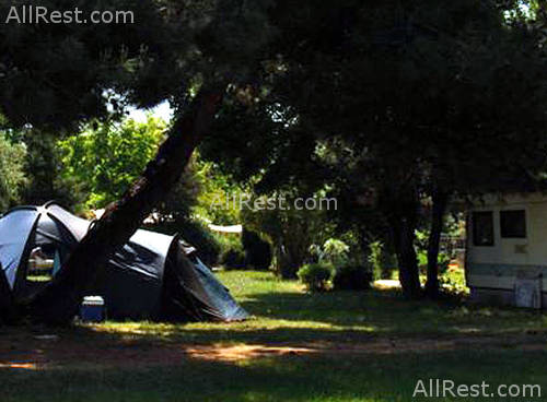 Amarin Camp 26